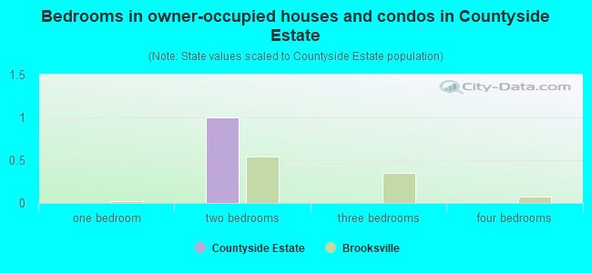 Bedrooms in owner-occupied houses and condos in Countyside Estate