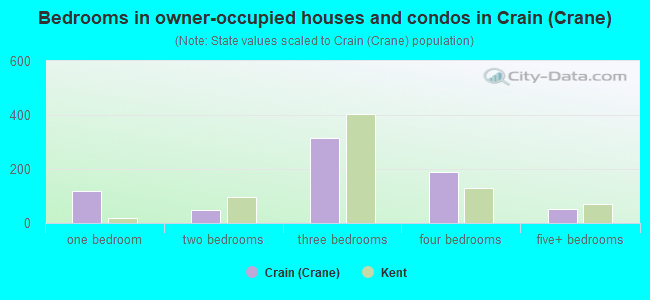 Bedrooms in owner-occupied houses and condos in Crain (Crane)