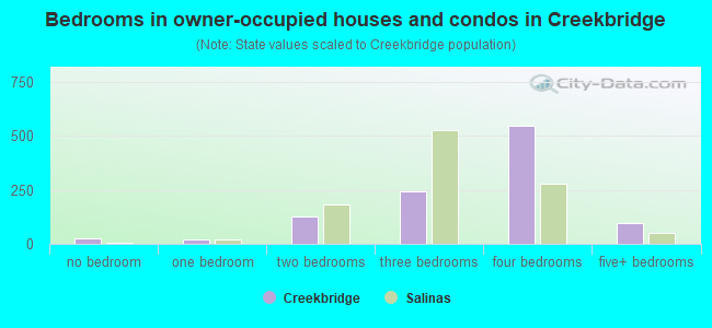 Bedrooms in owner-occupied houses and condos in Creekbridge