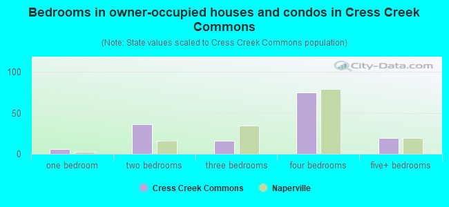 Bedrooms in owner-occupied houses and condos in Cress Creek Commons