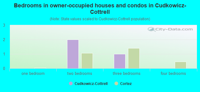 Bedrooms in owner-occupied houses and condos in Cudkowicz-Cottrell