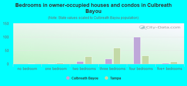 Bedrooms in owner-occupied houses and condos in Culbreath Bayou