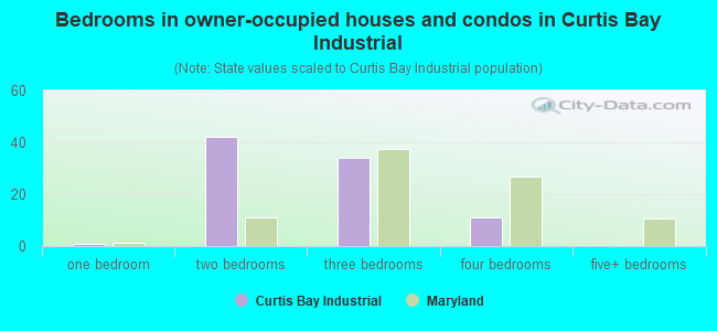 Bedrooms in owner-occupied houses and condos in Curtis Bay Industrial