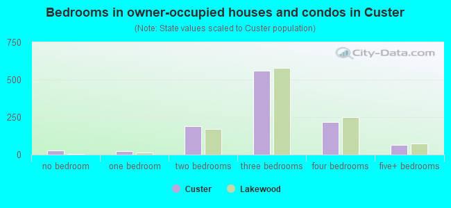 Bedrooms in owner-occupied houses and condos in Custer