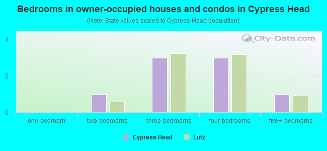 Bedrooms in owner-occupied houses and condos in Cypress Head