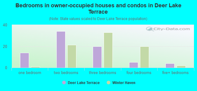 Bedrooms in owner-occupied houses and condos in Deer Lake Terrace