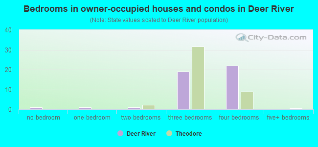 Bedrooms in owner-occupied houses and condos in Deer River