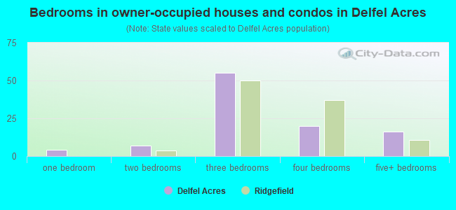 Bedrooms in owner-occupied houses and condos in Delfel Acres