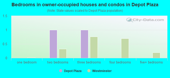 Bedrooms in owner-occupied houses and condos in Depot Plaza