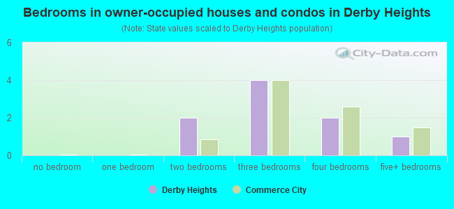 Bedrooms in owner-occupied houses and condos in Derby Heights