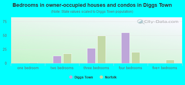 Bedrooms in owner-occupied houses and condos in Diggs Town