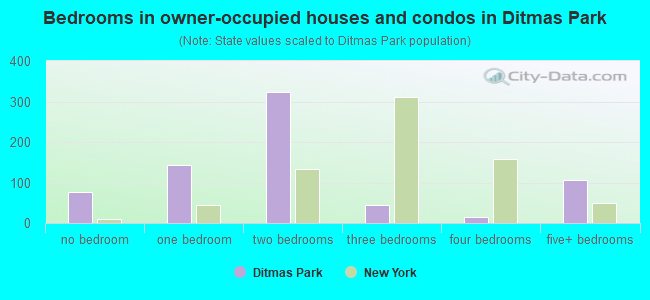 Bedrooms in owner-occupied houses and condos in Ditmas Park