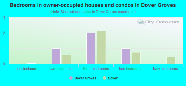 Bedrooms in owner-occupied houses and condos in Dover Groves