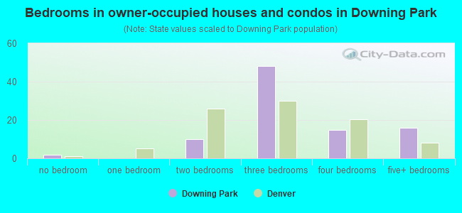 Bedrooms in owner-occupied houses and condos in Downing Park