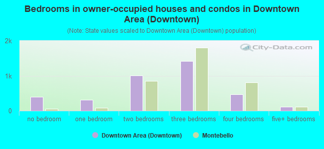 Bedrooms in owner-occupied houses and condos in Downtown Area (Downtown)