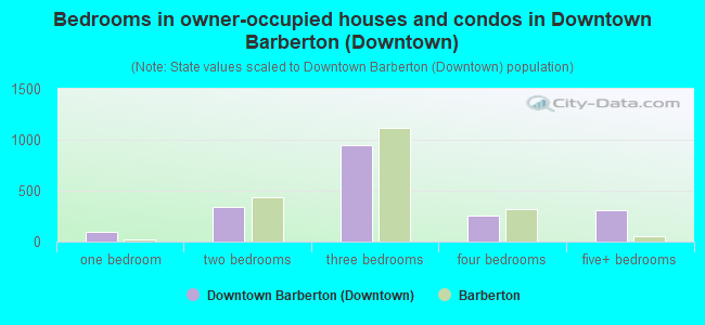 Bedrooms in owner-occupied houses and condos in Downtown Barberton (Downtown)