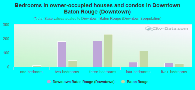 Bedrooms in owner-occupied houses and condos in Downtown Baton Rouge (Downtown)