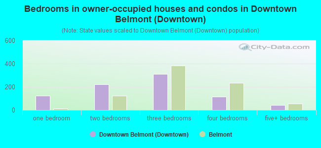 Bedrooms in owner-occupied houses and condos in Downtown Belmont (Downtown)