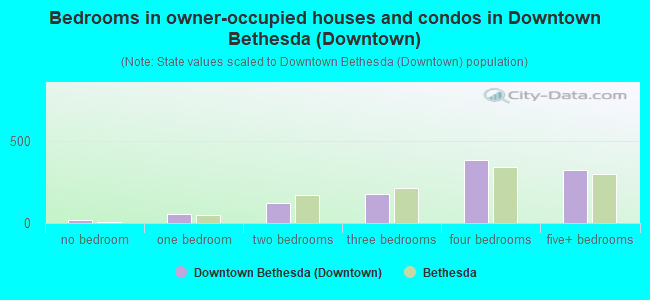 Bedrooms in owner-occupied houses and condos in Downtown Bethesda (Downtown)