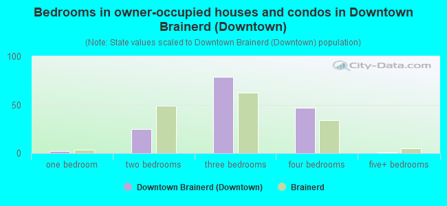 Bedrooms in owner-occupied houses and condos in Downtown Brainerd (Downtown)