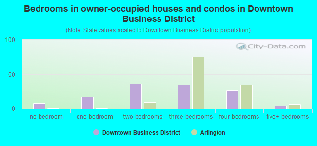 Bedrooms in owner-occupied houses and condos in Downtown Business District