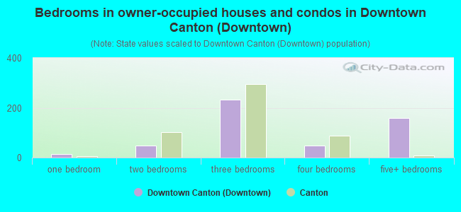 Bedrooms in owner-occupied houses and condos in Downtown Canton (Downtown)