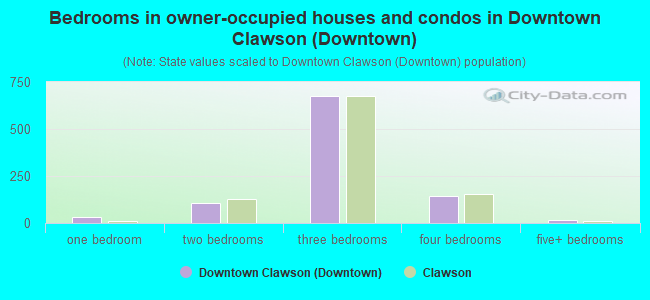 Bedrooms in owner-occupied houses and condos in Downtown Clawson (Downtown)