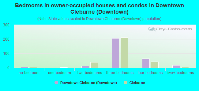 Bedrooms in owner-occupied houses and condos in Downtown Cleburne (Downtown)