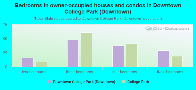 Bedrooms in owner-occupied houses and condos in Downtown College Park (Downtown)