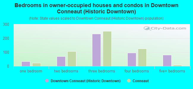Bedrooms in owner-occupied houses and condos in Downtown Conneaut (Historic Downtown)