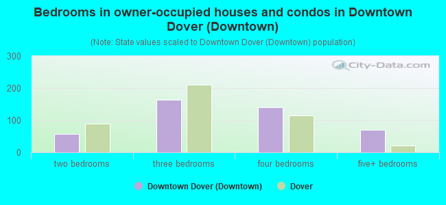 Bedrooms in owner-occupied houses and condos in Downtown Dover (Downtown)