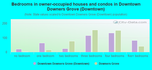 Bedrooms in owner-occupied houses and condos in Downtown Downers Grove (Downtown)
