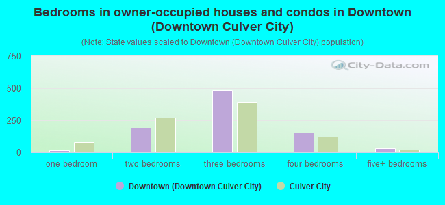 Bedrooms in owner-occupied houses and condos in Downtown (Downtown Culver City)