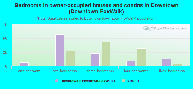 Bedrooms in owner-occupied houses and condos in Downtown (Downtown-FoxWalk)