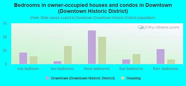 Bedrooms in owner-occupied houses and condos in Downtown (Downtown Historic District)
