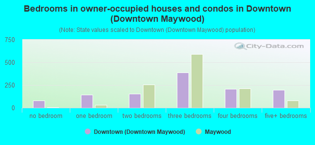 Bedrooms in owner-occupied houses and condos in Downtown (Downtown Maywood)