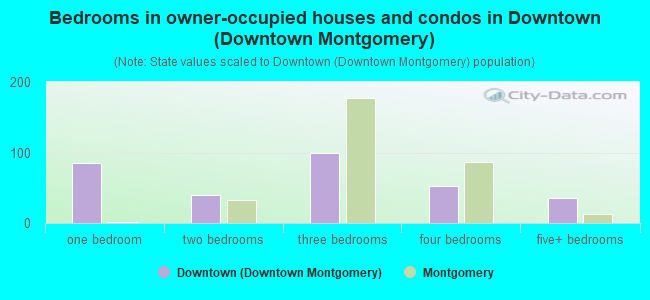 Bedrooms in owner-occupied houses and condos in Downtown (Downtown Montgomery)