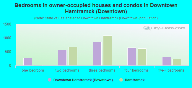 Bedrooms in owner-occupied houses and condos in Downtown Hamtramck (Downtown)
