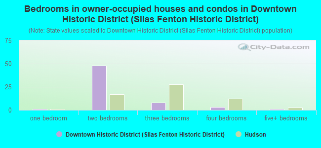 Bedrooms in owner-occupied houses and condos in Downtown Historic District (Silas Fenton Historic District)