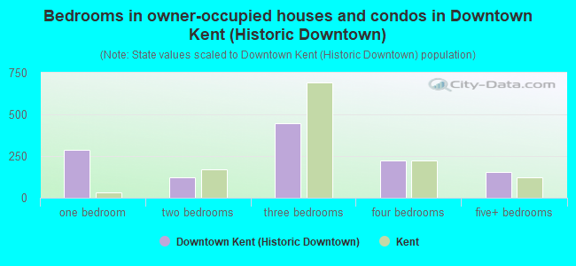 Bedrooms in owner-occupied houses and condos in Downtown Kent (Historic Downtown)