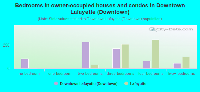 Bedrooms in owner-occupied houses and condos in Downtown Lafayette (Downtown)