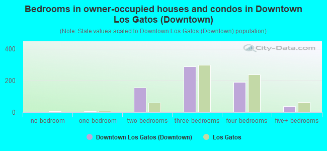 Bedrooms in owner-occupied houses and condos in Downtown Los Gatos (Downtown)