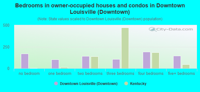 Bedrooms in owner-occupied houses and condos in Downtown Louisville (Downtown)