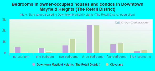 Bedrooms in owner-occupied houses and condos in Downtown Mayfield Heights (The Retail District)
