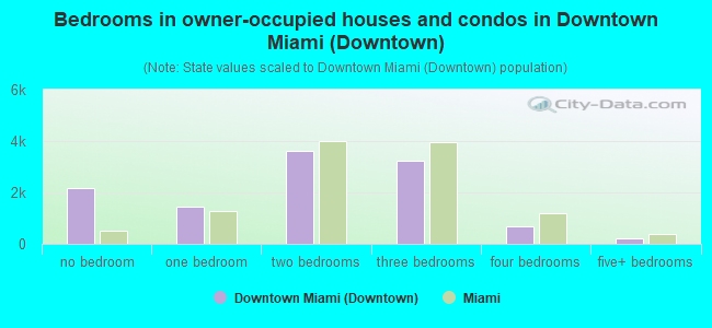 Bedrooms in owner-occupied houses and condos in Downtown Miami (Downtown)