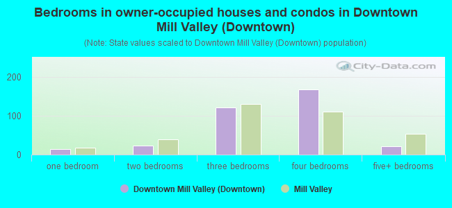 Bedrooms in owner-occupied houses and condos in Downtown Mill Valley (Downtown)