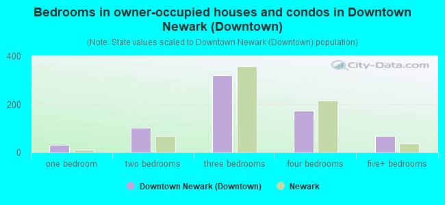 Bedrooms in owner-occupied houses and condos in Downtown Newark (Downtown)
