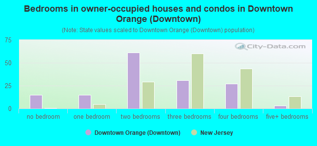 Bedrooms in owner-occupied houses and condos in Downtown Orange (Downtown)