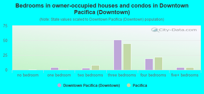 Bedrooms in owner-occupied houses and condos in Downtown Pacifica (Downtown)