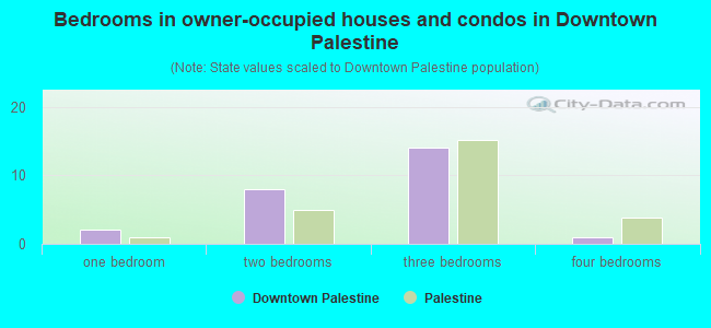 Bedrooms in owner-occupied houses and condos in Downtown Palestine